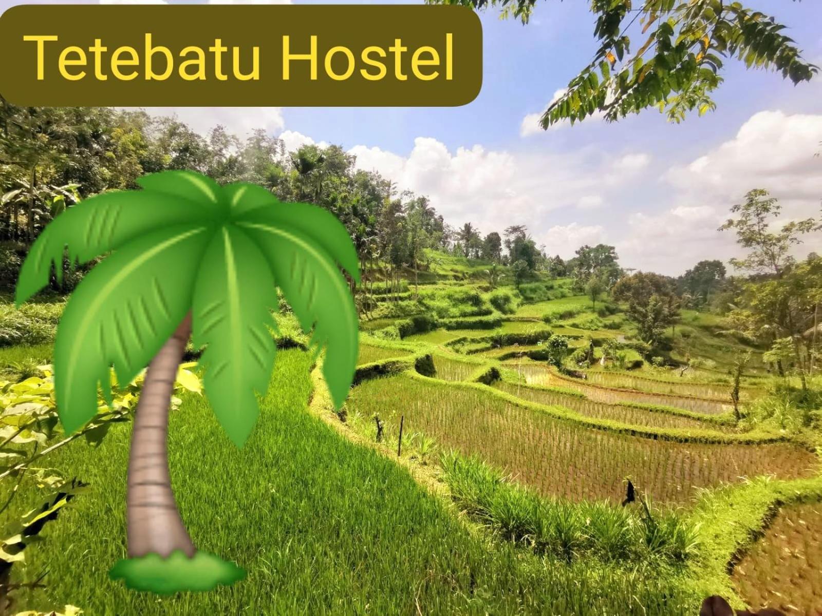 Tetebatu Hostel Exteriör bild