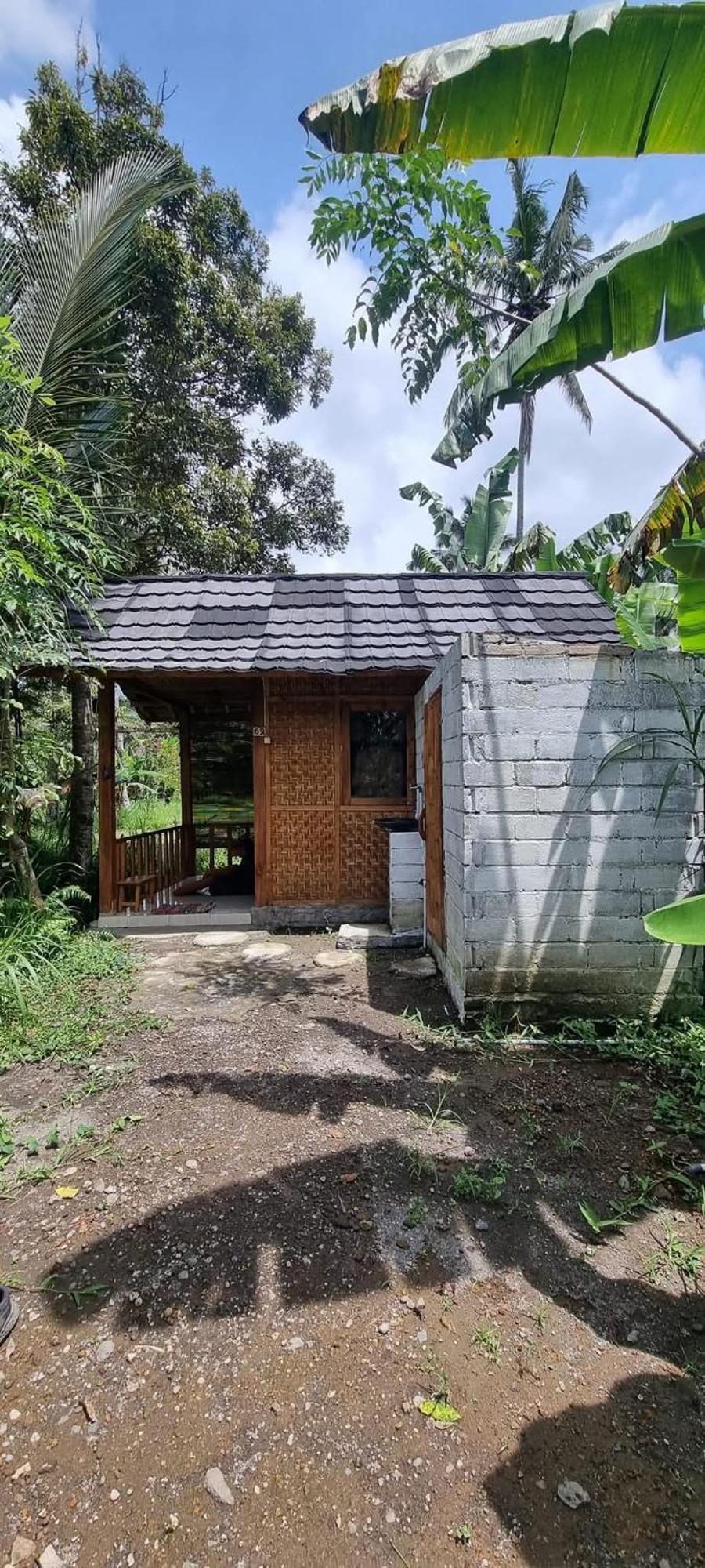 Tetebatu Hostel Rum bild